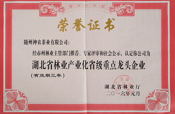 湖北省林業(yè)產業(yè)化省級重點龍頭企業(yè)