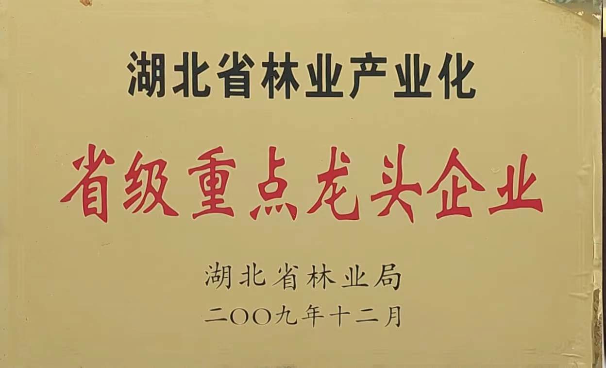 省林業(yè)產(chǎn)業(yè)化重點龍頭企業(yè)(2009.12).jpg 省林業(yè)產(chǎn)業(yè)化重點龍頭企業(yè)(2009.12).jpg