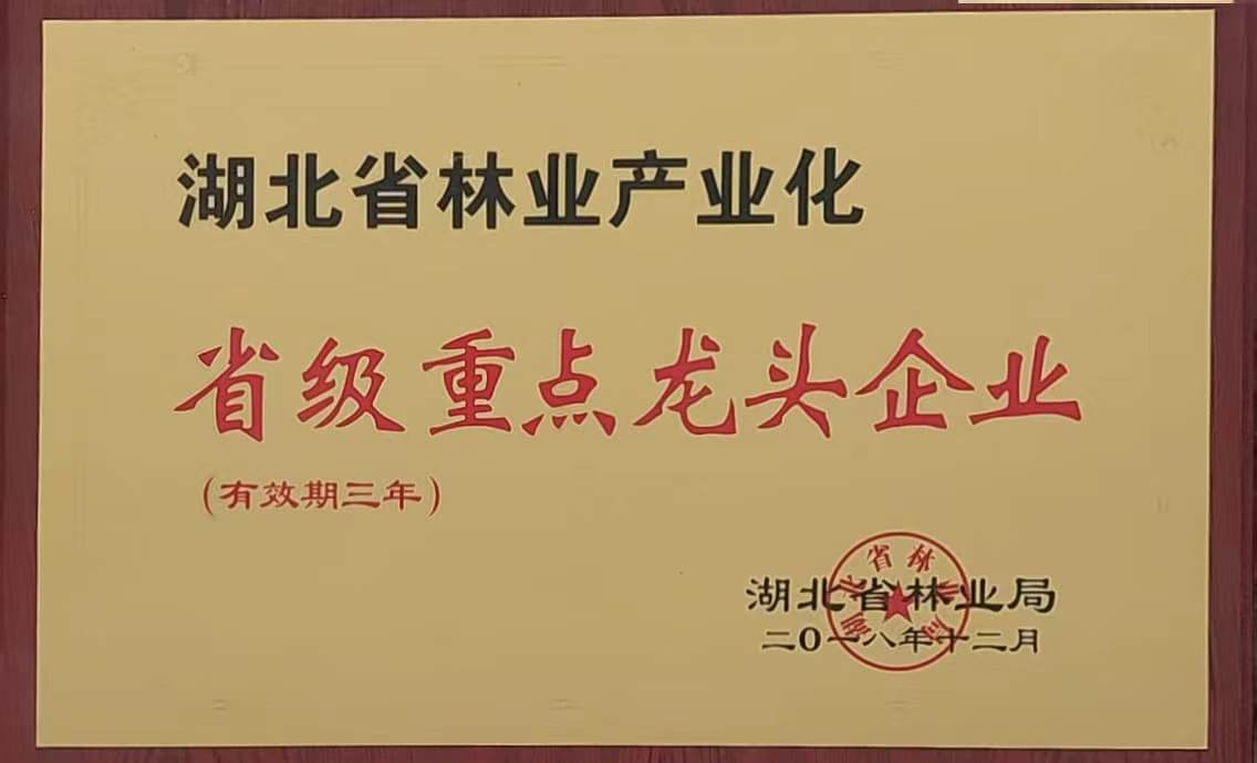省林業(yè)產業(yè)化重點龍頭企業(yè)(2018.12).jpg 省林業(yè)產業(yè)化重點龍頭企業(yè)(2018.12).jpg